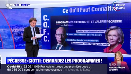 Congrès LR: quels sont les programmes des deux finalistes, Valérie Pécresse et Éric Ciotti?