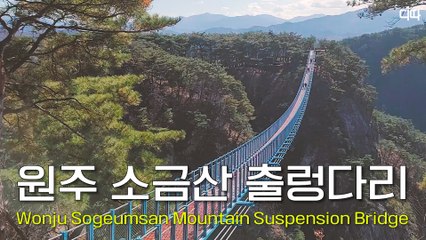 랜선여행 원주 소금산 출렁다리(Wonju Sogeumsan Mountain Suspension Bridge) / 디따