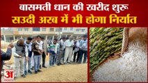 Hafed Starts Procurement Of Basmati Paddy For Export| बासमती धान की खरीद शुरू