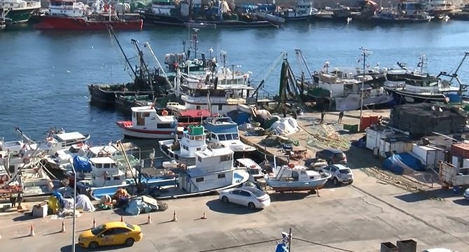 Lodos balıkçılığı vurdu, tekneler günlerdir açılamıyor