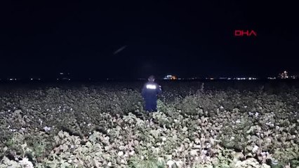 Kaçak göçmenleri taşıyan minibüs, polisten kaçarken devrildi