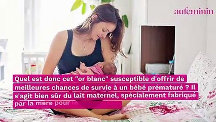 Mais quel est cet "or blanc" essentiel à la survie des prématurés ?