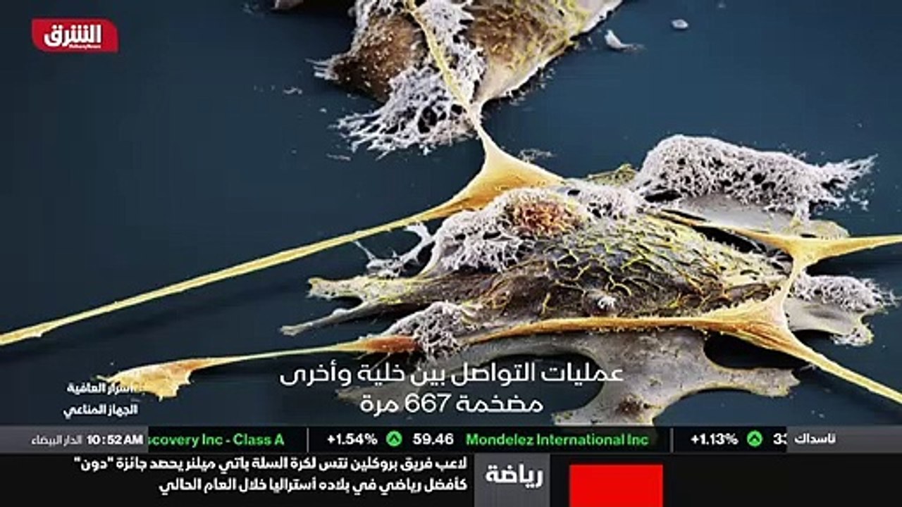 ...والانعزال في الصين ....