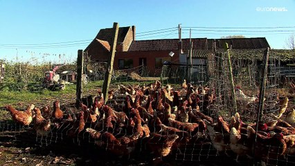 Detractores y defensores de la Política Agrícola Común