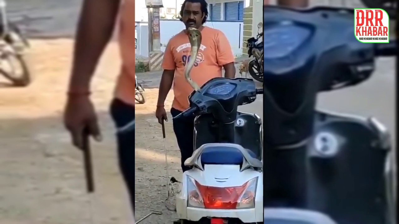 स्कूटी के हेड में फंसे किंग कोबरा का रेस्क्यू देख आप हैरान रह जाएंगे । snake rescue । snake rescue india । snake rescue bite india । snake bite rescue man । snake bite during rescue । snake bite while rescuing । big snake fight । big snake rescue । big py