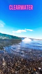 This water is so clear! #ocean #clearwater #shorts