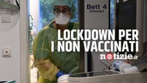 Lockdown per i non vaccinati, Angela Merkel: 