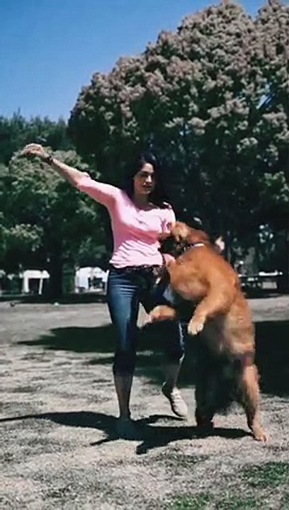 Dog  and girl FUNNY VIDEOS। #short ।#shorts video