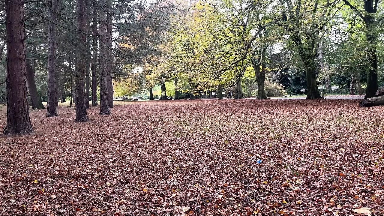 Merseyside Winter Walks vox