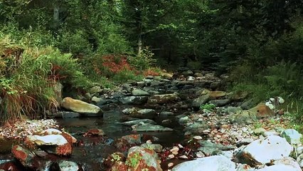 sleep relaxing music ( no copyright) royality free music