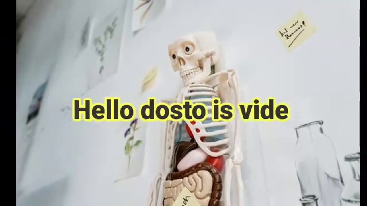 How to best Inaan ka body mein kitne haddi hote hai interesting video