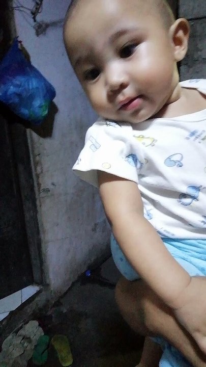 Aldon Aliw Sa Aso At Pusa