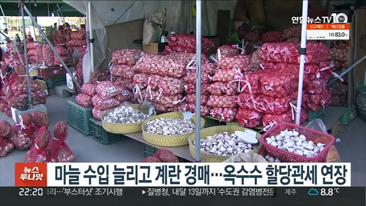 마늘 수입 늘리고 계란 경매…옥수수 할당관세 연장