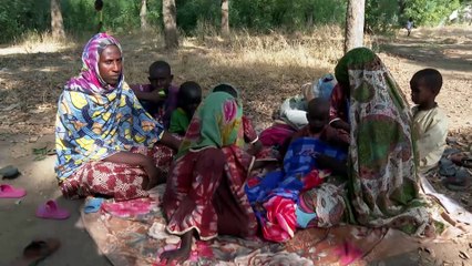 أزمة لاجئين في تشاد بسبب اشتباكات قبلية في الكاميرون