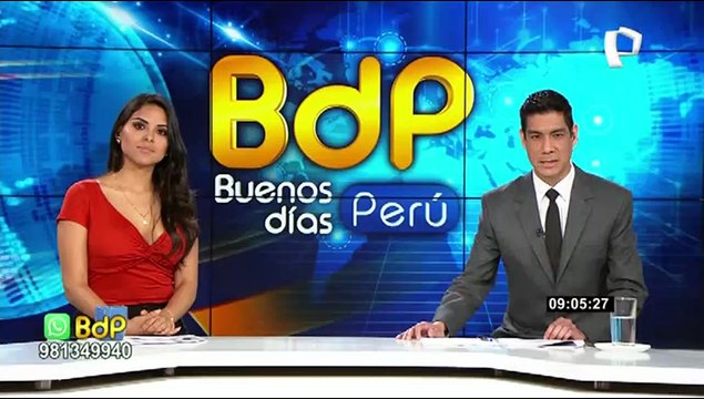 Árbol que plantó Don José de San Martín recibe tratamiento para salvarlo