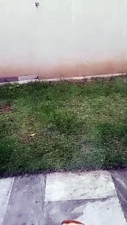 Granizo no Coração Eucarístico
