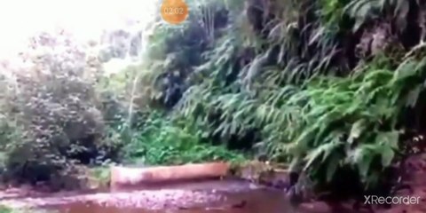 نقي قلبك أصحاب الأمراض الثلاثة ونوع الابتلاء