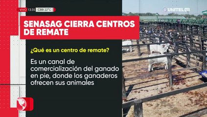 ¿Qué es un centro de remate y que rol juegan en la comercialización de carne?