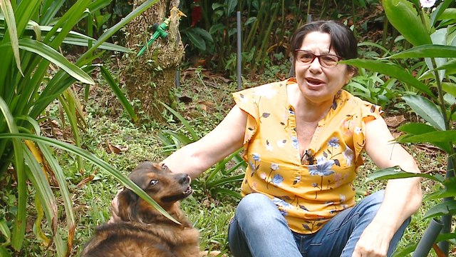 dbb-mayela-villancico-031221