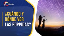 Lluvia de meteoros Púppidas - Vélidas 2021: ¿Cuándo y dónde ver este fenómeno astronómico?