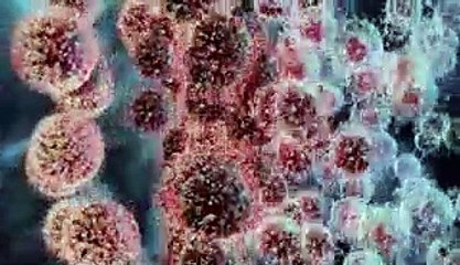 10 questions about the Omicron variant — including its symptoms and spread — answered by an expert