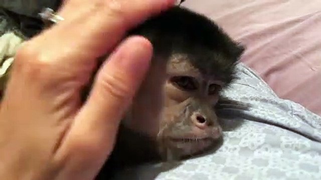 Hey everyone moms phone has been out of commission and her new one came today broken! New one should be here tomorrow so sorry lack of response! We only have WiFi service..We have also had 2 eventful past 2 days