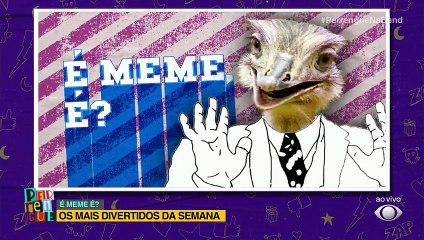OS MEMES MAIS DIVERTIDOS DA SEMANA!#PERRENGUENABAND #MEMES
