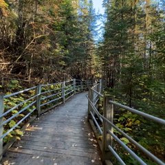 Thrillist Explorers: North Shore