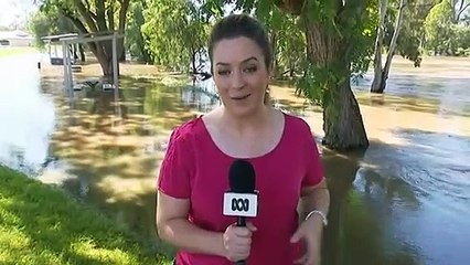 Rising flood waters sees Goondiwindi preparing to evacuate