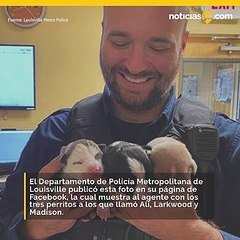 Policía rescata a cachorros de mochila