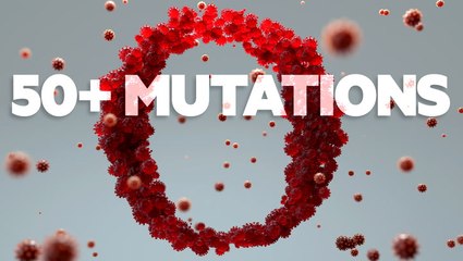 10 questions about the Omicron variant — including its symptoms and spread — answered by an expert