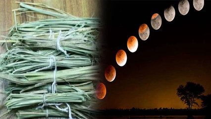 Surya Grahan 2021: ग्रहण काल में कुशा बेहद अहम, इस तरह करे प्रयोग | Boldsky