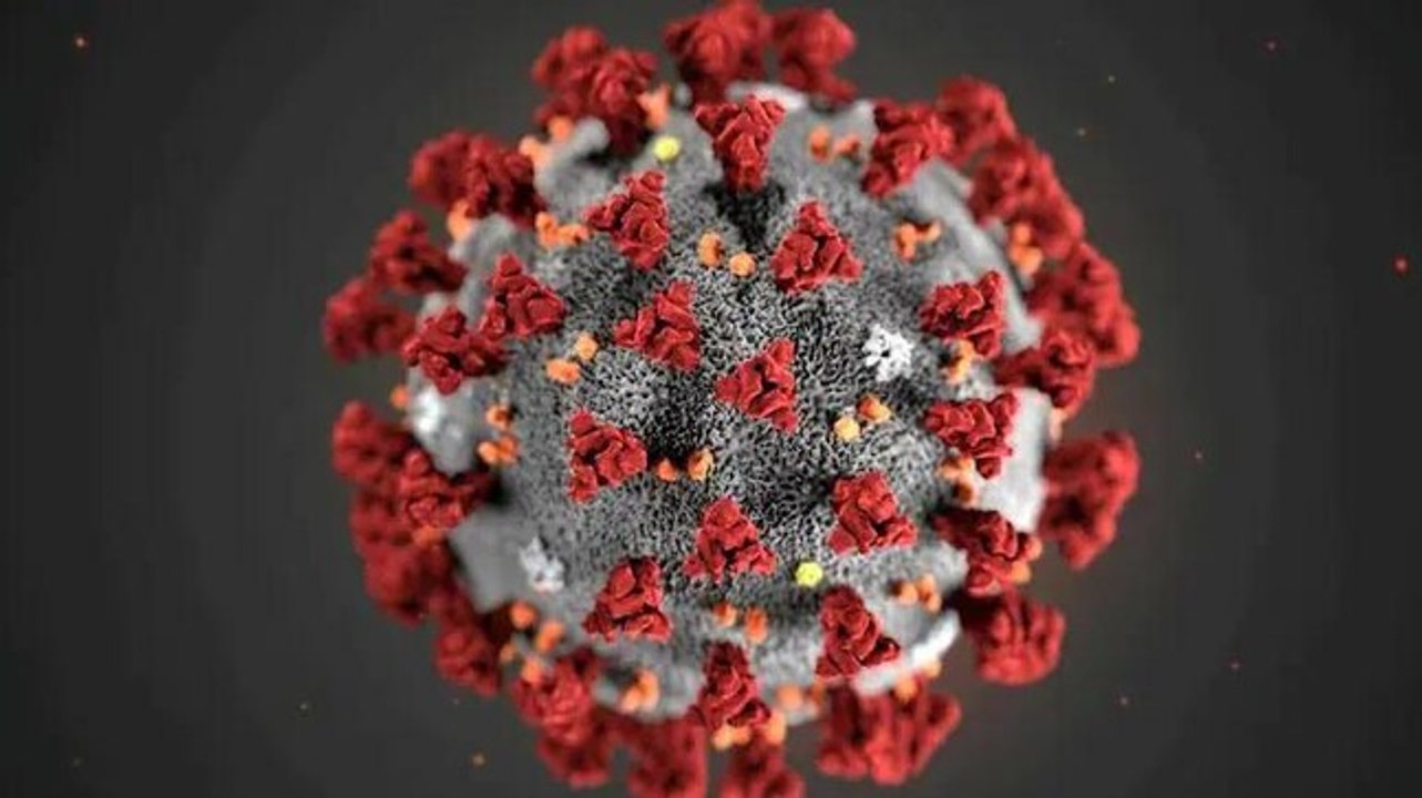 Watch: Omicron cases in India ring alarm bells