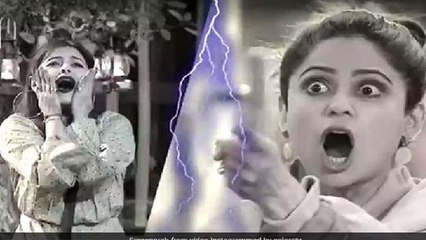 Bigg Boss 15: Shamita से लड़ने पर Devoleena को Fans से पड़ रही हैं गालियां, Tweets हुए Viral|FilmiBeat