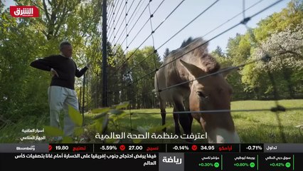 ...أي أن جهاز المناعة يتحدث لغة الجهاز الهر...