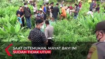 Mayat Bayi Ditemukan Tak Utuh Usai Dikerumuni Anjing