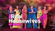 THE REAL HOUSEWIVES OF MIAMI S04