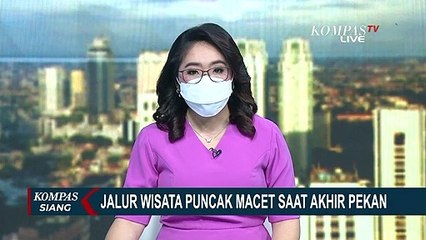 Akhir Pekan, Macet di Jalur Wisata Puncak Didominasi Pelat Luar Bogor dan Bus Pariwisata