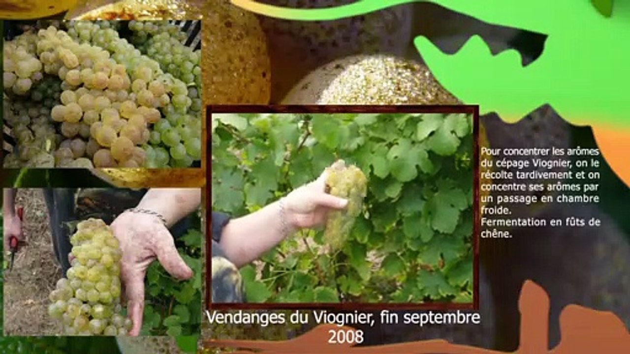 Cuvée spéciales cépage Chardonnay et Viognier - cave vinicole Gallargues-le-Montueux 2008