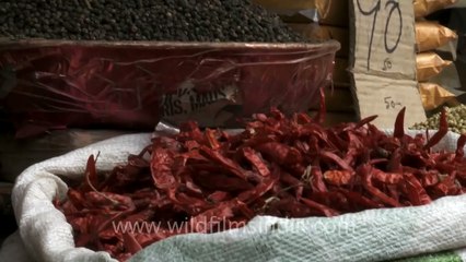 Dry fruit and spice shops in Khari Baoli