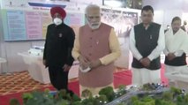 PM inspects the model of  Delhi-Dehradun Economic Corridor