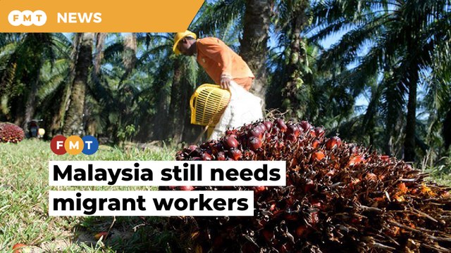 Foreign workers still crucial for Malaysia, says MEF