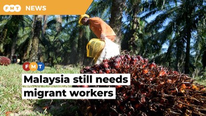 Foreign workers still crucial for Malaysia, says MEF