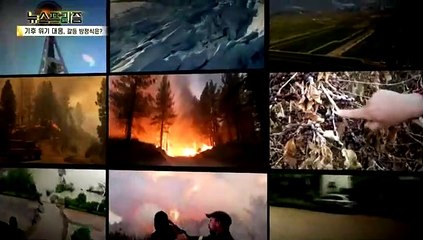 [탐사보도 뉴스프리즘] "COP26 실패" 기후위기 극복 가능한가?