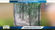 പാലക്കാട് ശക്തമായ മഴ: അരിയൂർ തോട് കവിഞ്ഞൊഴുകി; ദൃശ്യങ്ങൾ