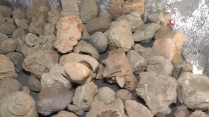 Tut'ta 10 kilo ağırlığında 65 milyon yıllık deniz mercanı bulundu