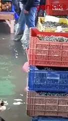 Tunç Soyer gider Mersin'e İzmir gider tersine! CHP'li belediyenin rezilliğine tepki yağdı