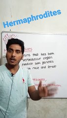 Hermaphrodite | Hermaphrodite in Hindi | Hermaphrodite biology | what is Hermaphrodite #cityclasses