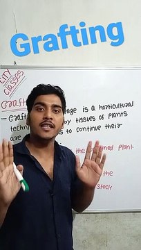 Grafting | Grafting in Hindi | Grafting biology | what is Grafting #cityclasses