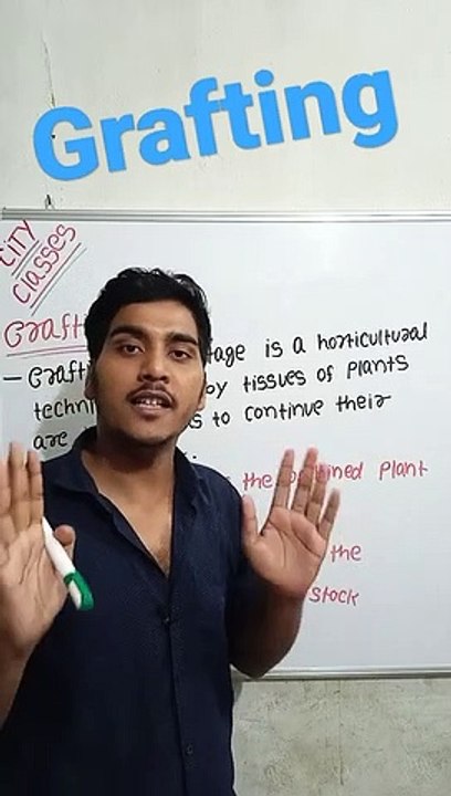 Grafting | Grafting in Hindi | Grafting biology | what is Grafting #cityclasses
